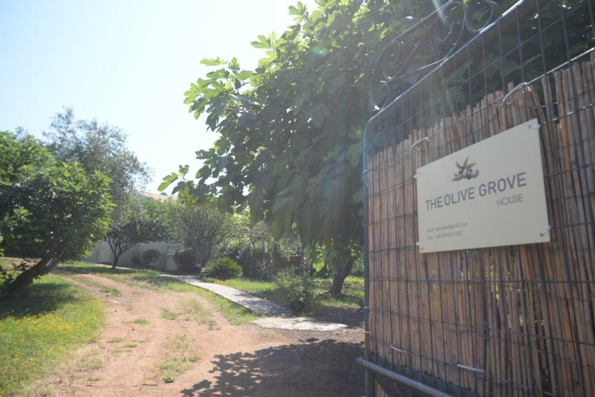The Olive Grove House Kassiopi Exterior foto